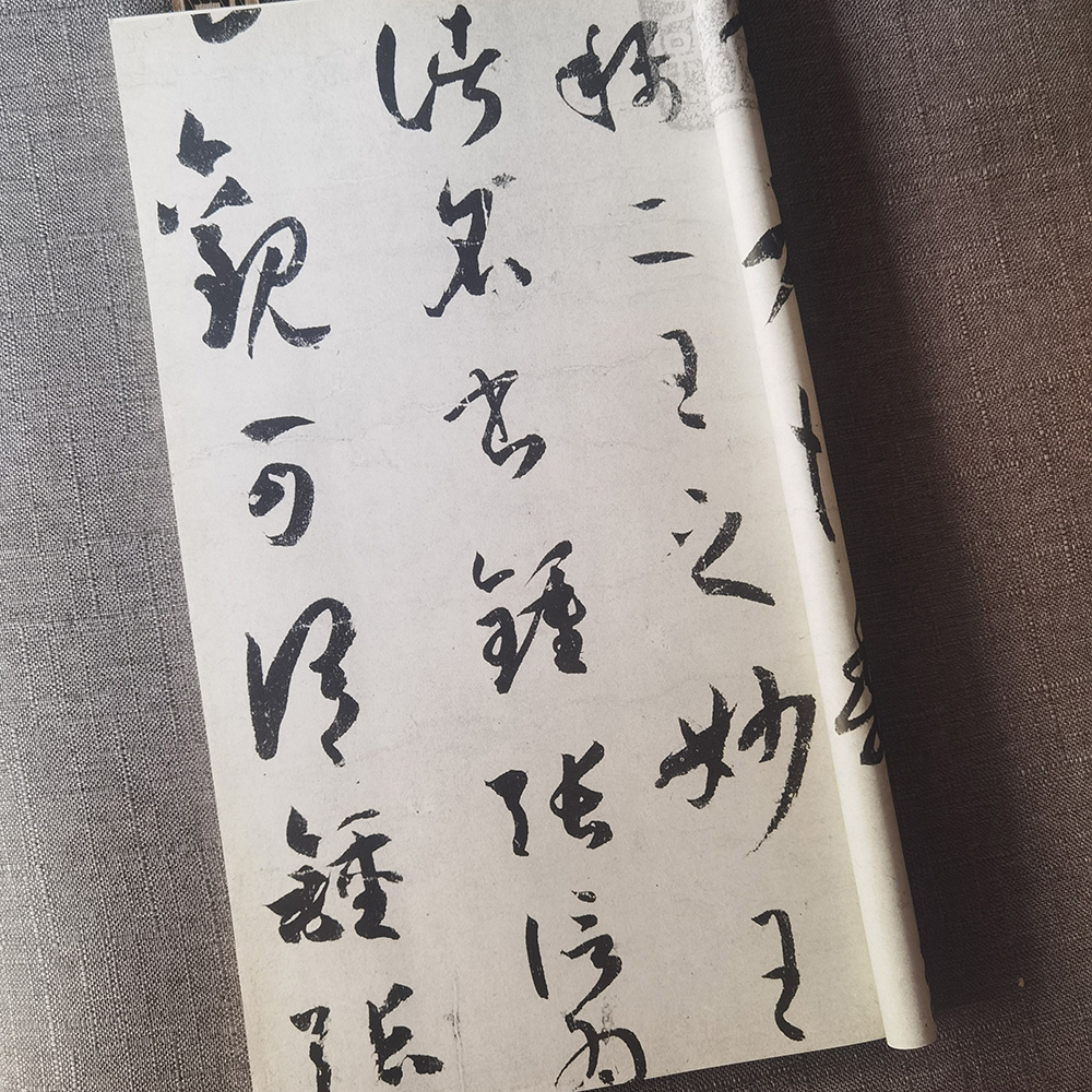 广东一小区惊现“波浪停车位”，物业：设计如此