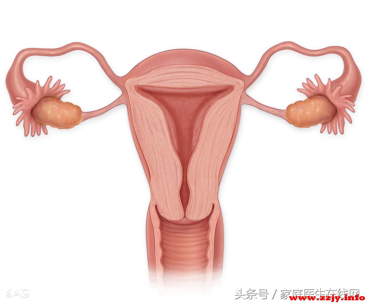 单独的